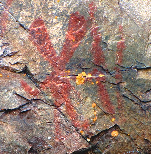 Manabozho Pictograph as a Giant Rabbit