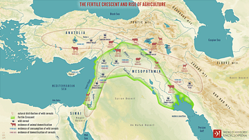 Dynamics of the Neolithic Revolution