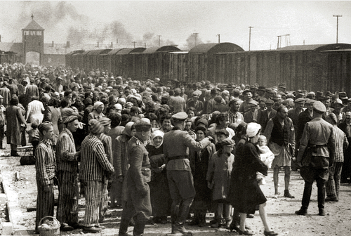 New Arrivals at Auschwitz